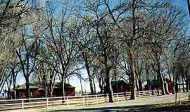 Original buildings at the South Springs Ranch